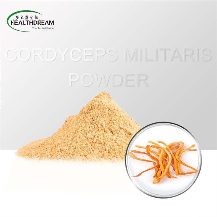 Cordyceps Militaris en polvo (cuerpo fructífero)